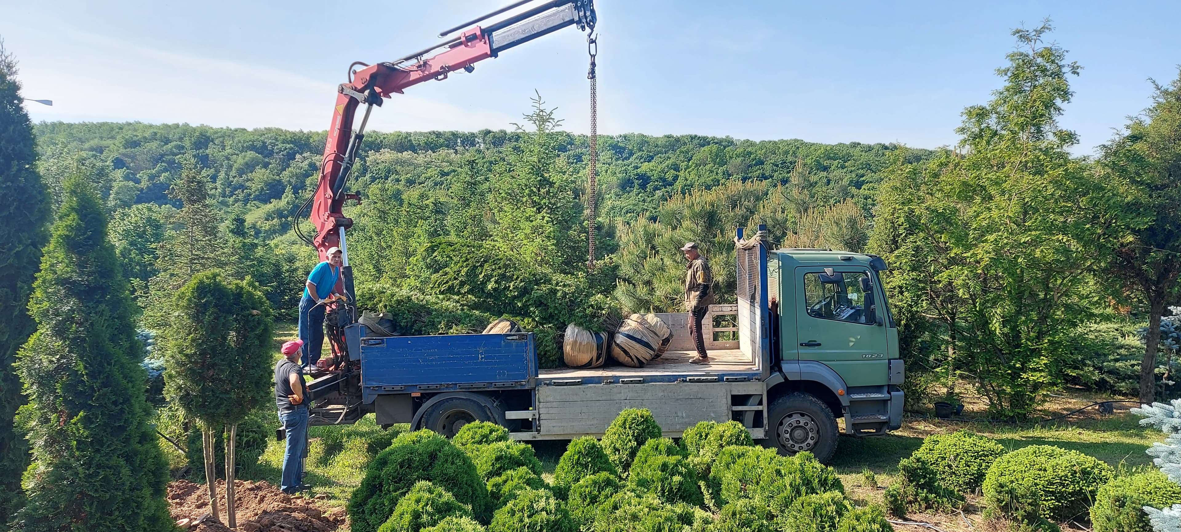 Описание первой картинки